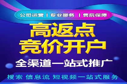 优化搜索流量：SEO技巧的多个成功案例